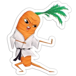 Carrot About You