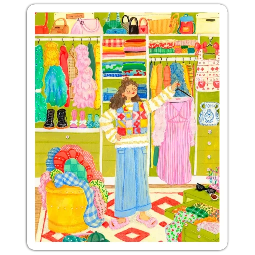 Closet Chaos, Mind Calm