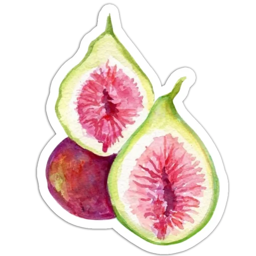 Fig yolk
