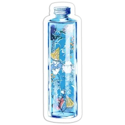 Frozen water bottle