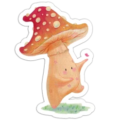 Fun Mushroom
