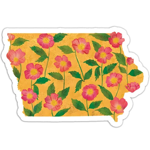 Iowa