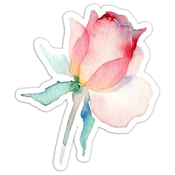Let Your Soul Bloom