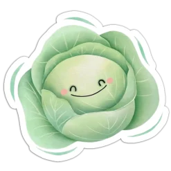 Lovely Cabbage