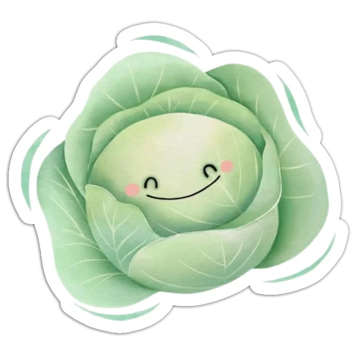 Lovely Cabbage