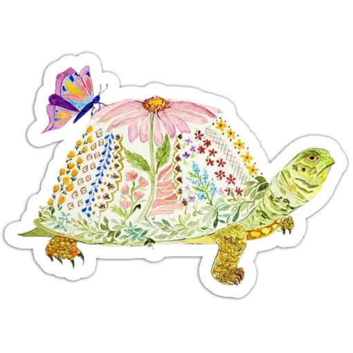 Natural turtle