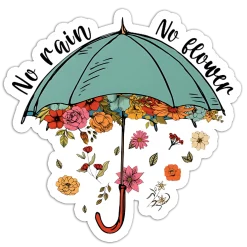 No rain no flower