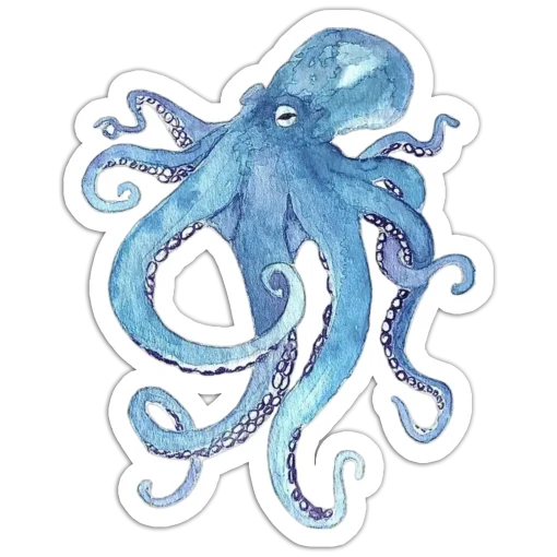 Octopi My Heart