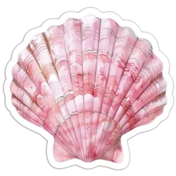 Pastel Shells