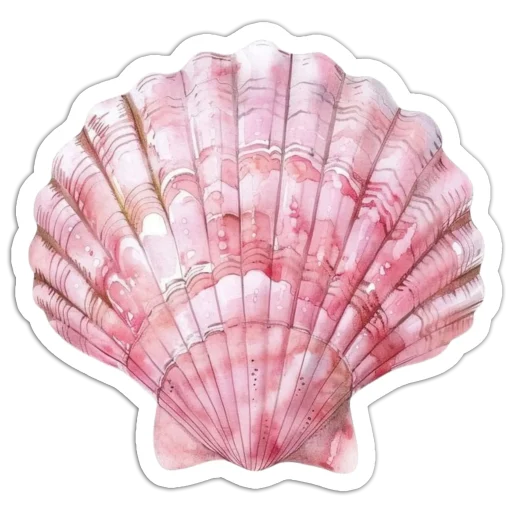 Pastel Shells