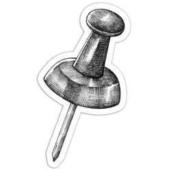 Pin