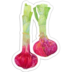 Purple garlic