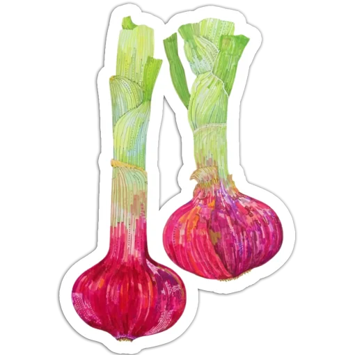 Purple garlic