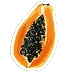 Ripe papaya