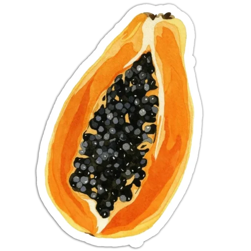 Ripe papaya