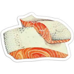 Salmon