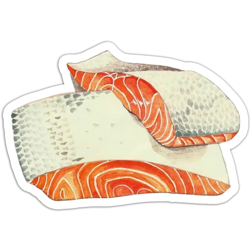 Salmon