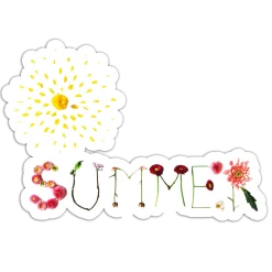 Summer