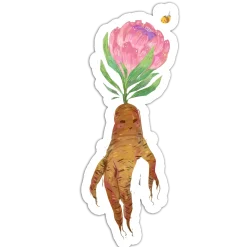 Why do I bloom