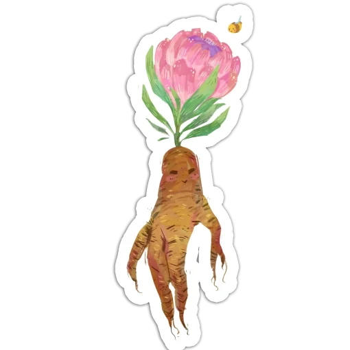 Why do I bloom